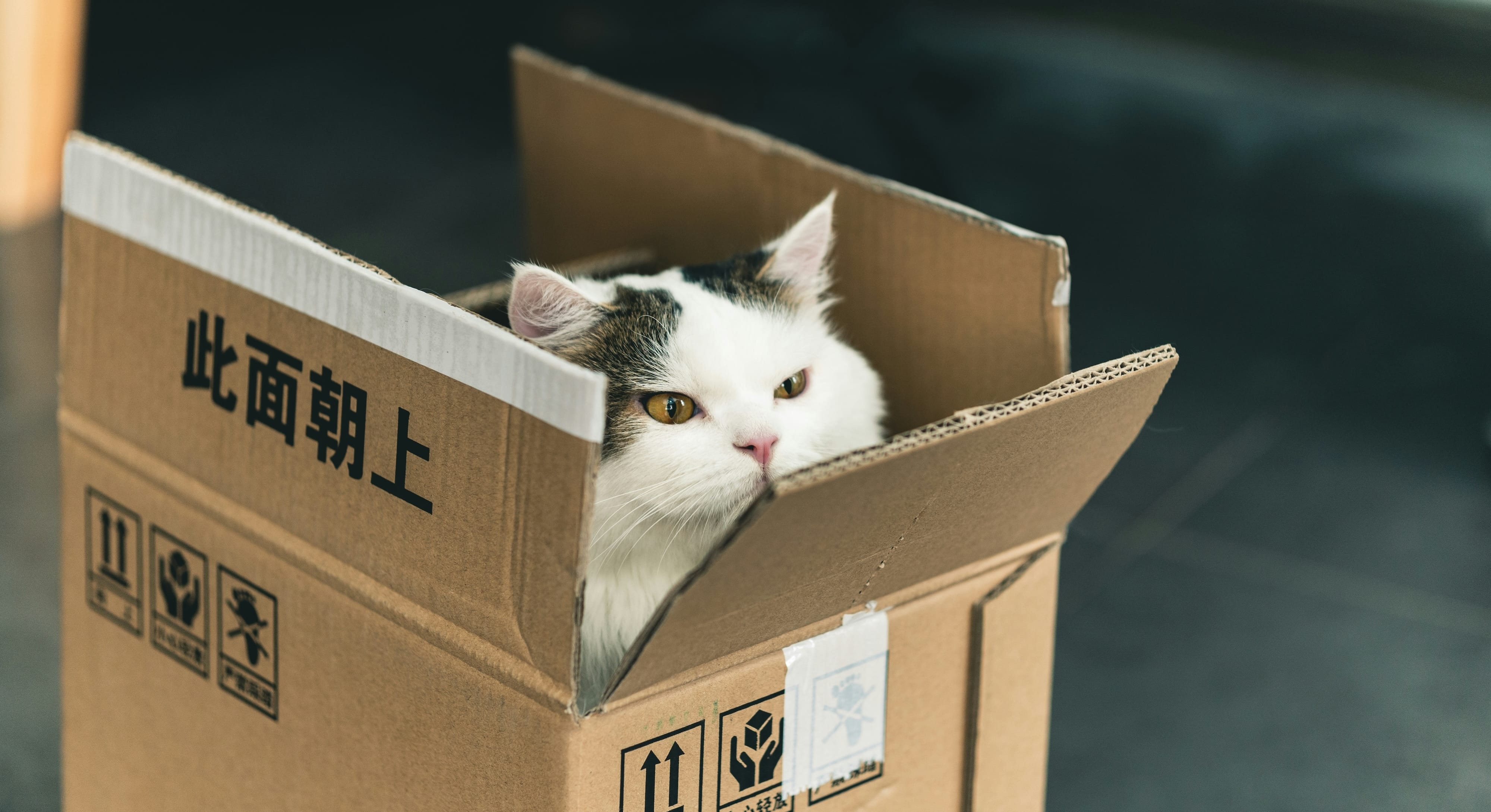Statische
Websites mit Pandoc erstellen